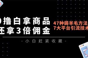 0撸白拿商品，还拿3倍佣金，47种薅羊毛方法，7大平台全方位引流技术教学，精专月入过万