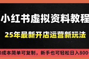 小红书虚拟资料项目：最新搜索流变现玩法，0成本简单可复制，一人多店打法，新手日入800+