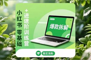 小红书零基础+高阶训练营：安全养号、爆款拆解、长效运营，实现稳定涨粉与变现