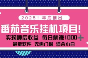 ！2025年年底番茄音乐挂机项目，每天几分钟，月入1000＋，可矩阵