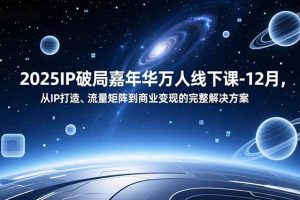2025IP破局嘉年华万人线下课-12月，从IP打造、流量矩阵到商业变现的完整解决方案
