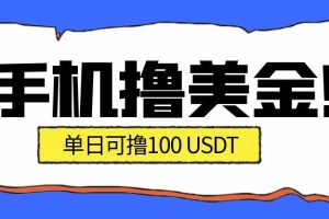 最新手机撸美金项目，单日产值·100U+，将会是2026年最新的风口项目  目前在搞的人比较少