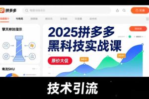 2025拼多多黑科技实战课，擎天柱玩法、爆流SKU、原价大促，技术引流，单店日销轻松破千单
