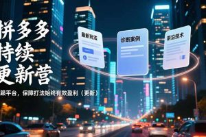 拼多多持续更新营，最新玩法、诊断案例、前沿技术，紧跟平台，保障打法始终有效盈利（更新）