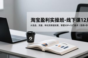淘宝盈利实操班-线下课12月，从选品、流量、转化到渠道拓展，掌握SOP+12门技术（音频+字幕）