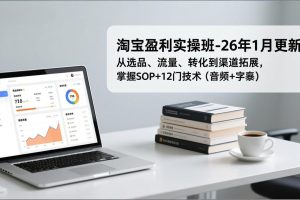 淘宝盈利实操班-26年1月更新，从选品、流量、转化到渠道拓展，掌握SOP+12门技术（音频+字幕）
