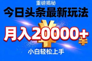 今日头条代运营最新玩法，轻轻松松月入20000＋