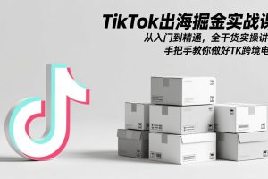 TikTok出海掘金实战课:从入门到精通,全干货实操讲解,手把手教你做好TK跨境电商