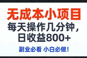 无成本小项目,每天操作几分钟,日收益800+ 副业必看 小白必做！