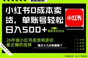 小红书0成本AI卖货，单账号轻松日入500+，完全托管AI，可矩阵放大