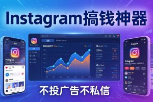 Instagram搞钱神器：月涨6万粉+月入5万刀，不投广告不私信，靠算法+低价产品