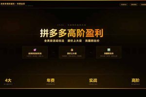 拼多多高阶盈利年费会员(更新3月)：全类目活动玩法、原价上大促、洗图防比价等核心盈利技术