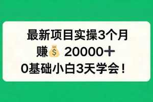 最新项目实操3个月，赚钱20000+，0基础小白3天学会！