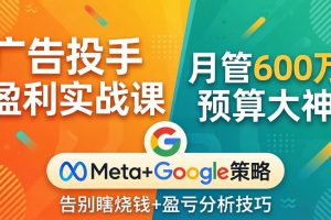 广告投手盈利实战课：月管600万预算大神，带你告别瞎烧钱，Meta+Google策略+盈亏分析