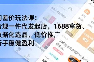 淘差价玩法课：合规一件代发起店，1688拿货、数据化选品、低价推广，新手稳健盈利(更新4月)