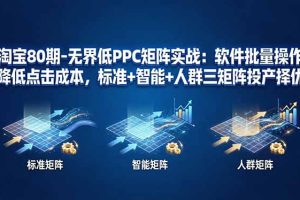 -无界低PPC矩阵实战：软件批量操作降低点击成本，标准+智能+人群三矩阵投产择优
