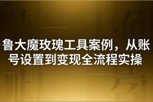 引流创业粉卖软件教学：鲁大魔玫瑰工具案例，从账号设置到变现全流程实操