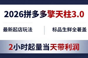 2026拼多多擎天柱 3.0-更新4月20：最新起店玩法，标品生鲜全覆盖，2小时起量当天带利润