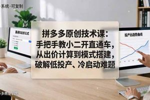 拼多多原创技术课：手把手教小二开直通车，从出价计算到模式搭建，破解低投产、冷启动难题