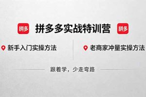 拼多多实战特训营(更新5月15)：不管是新手入门或老商家冲量，都有实操方法，跟着学，少走弯路