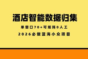酒店智能数据归集，小众蓝海已经稳定半年之久，单窗口70+零成本矩阵开干