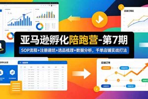 ：SOP流程+注册避坑+选品梳理+数据分析，千单店铺实战打法