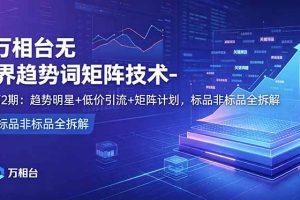 ：趋势明星+低价引流+矩阵计划，标品非标品全拆解