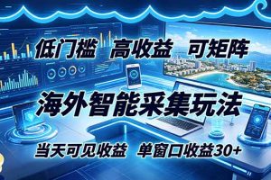 海外智能采集玩法，低门槛高单价可矩阵，当天可见收益，单窗口30+