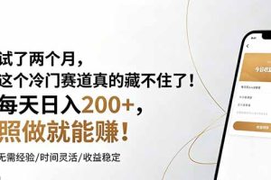 试了两个月,这个冷门赛道真的藏不住了!每天日入200+,照做就能赚!