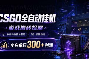 稳定，小白单日300+利润