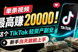 单条视频最高赚 20000!这个 TikTok 轻资产副业,新手当天就能上手